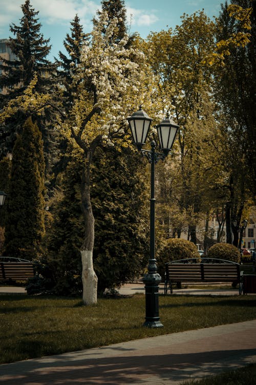 Lantern and Benches in a Park 