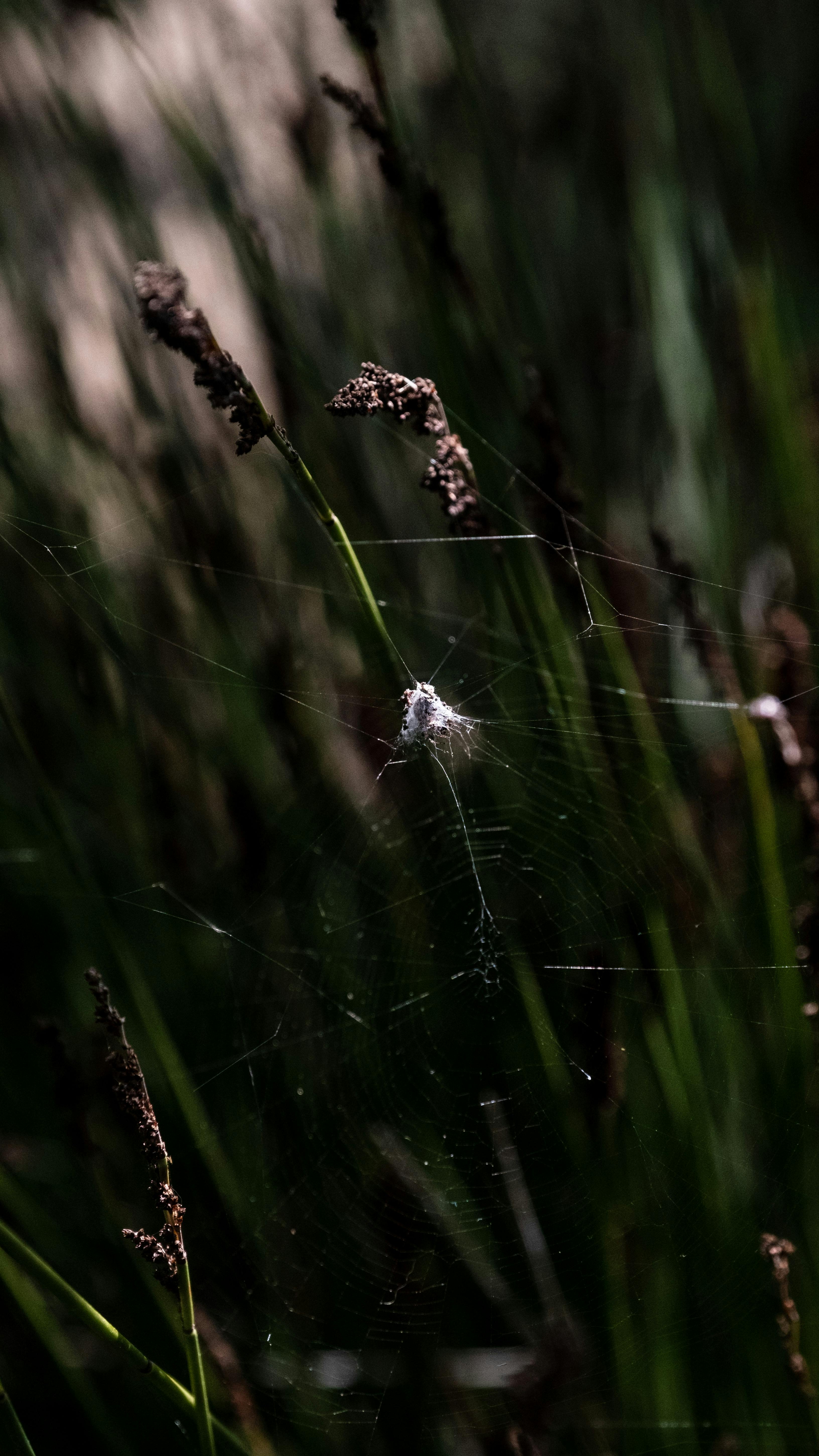 Historical monuments in Delhi