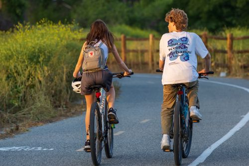 Free Two people riding bicycles on a picturesque rural road surrounded by nature at sunset. Stock Photo