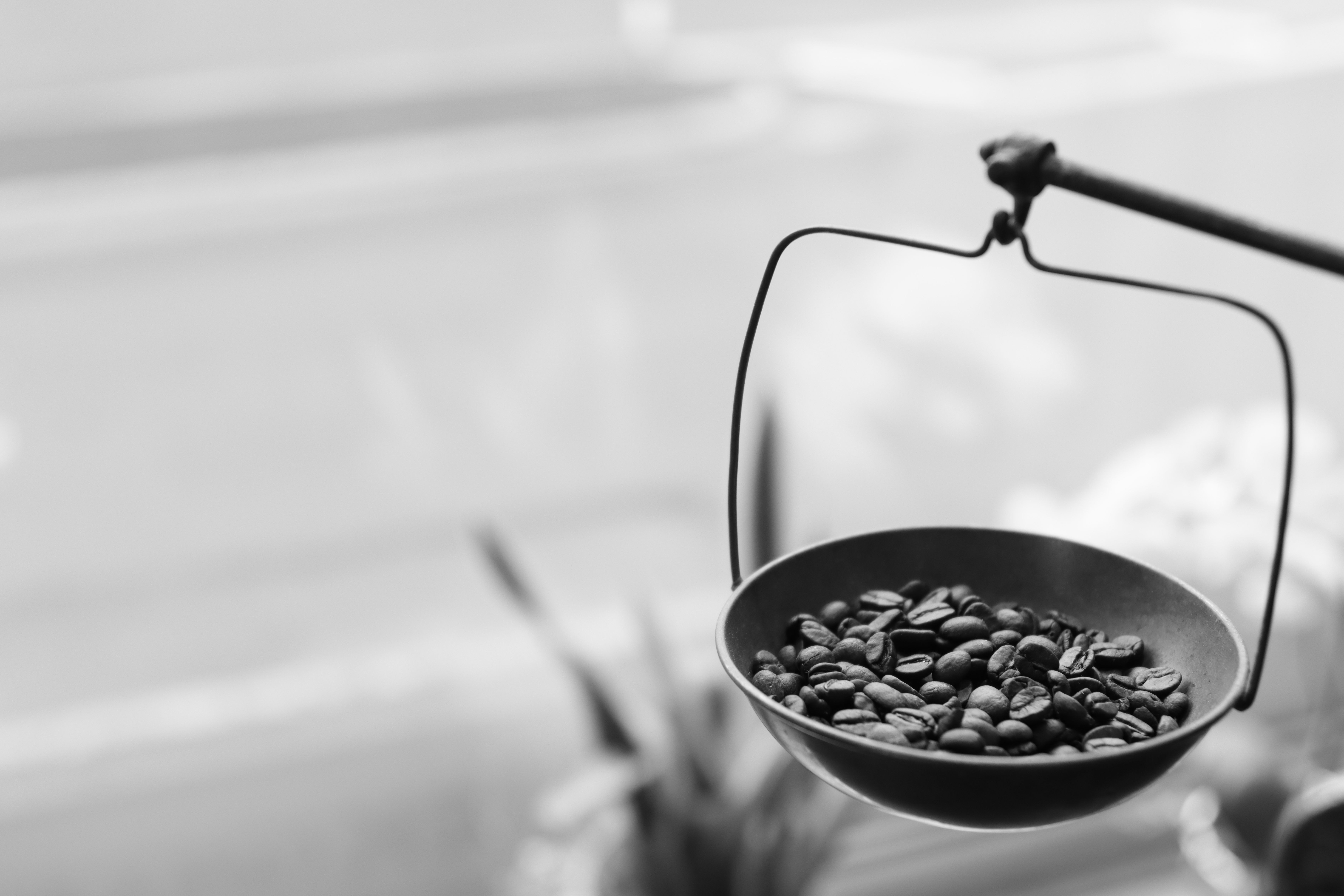 Bean Measurement Photos, Download The BEST Free Bean Measurement Stock