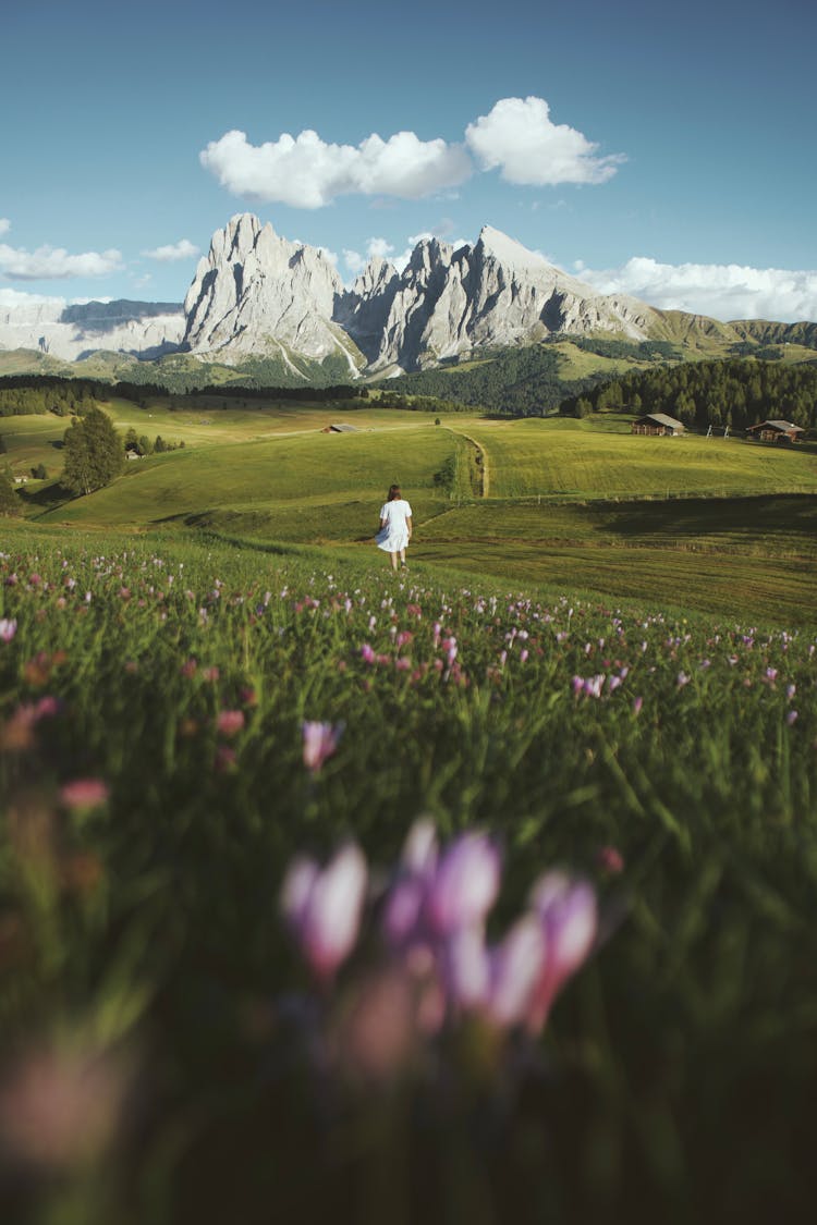 Dolomites Mountains In Spring