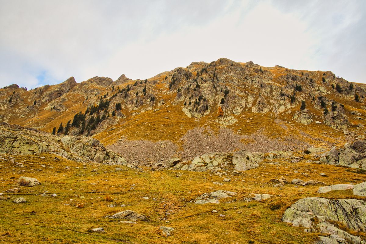 Herbstliche Felslandschaft im Nationalpark Mercantour