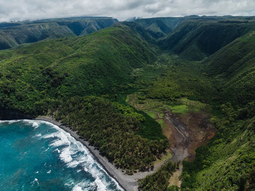 Best Kilauea Volcano Eruption 105 Min Helicopter Tour Doors Off or On Review Review 2026 - Stunning aerial shot of lush green mountains meeting the azure ocean in Halaula, Hawaii.