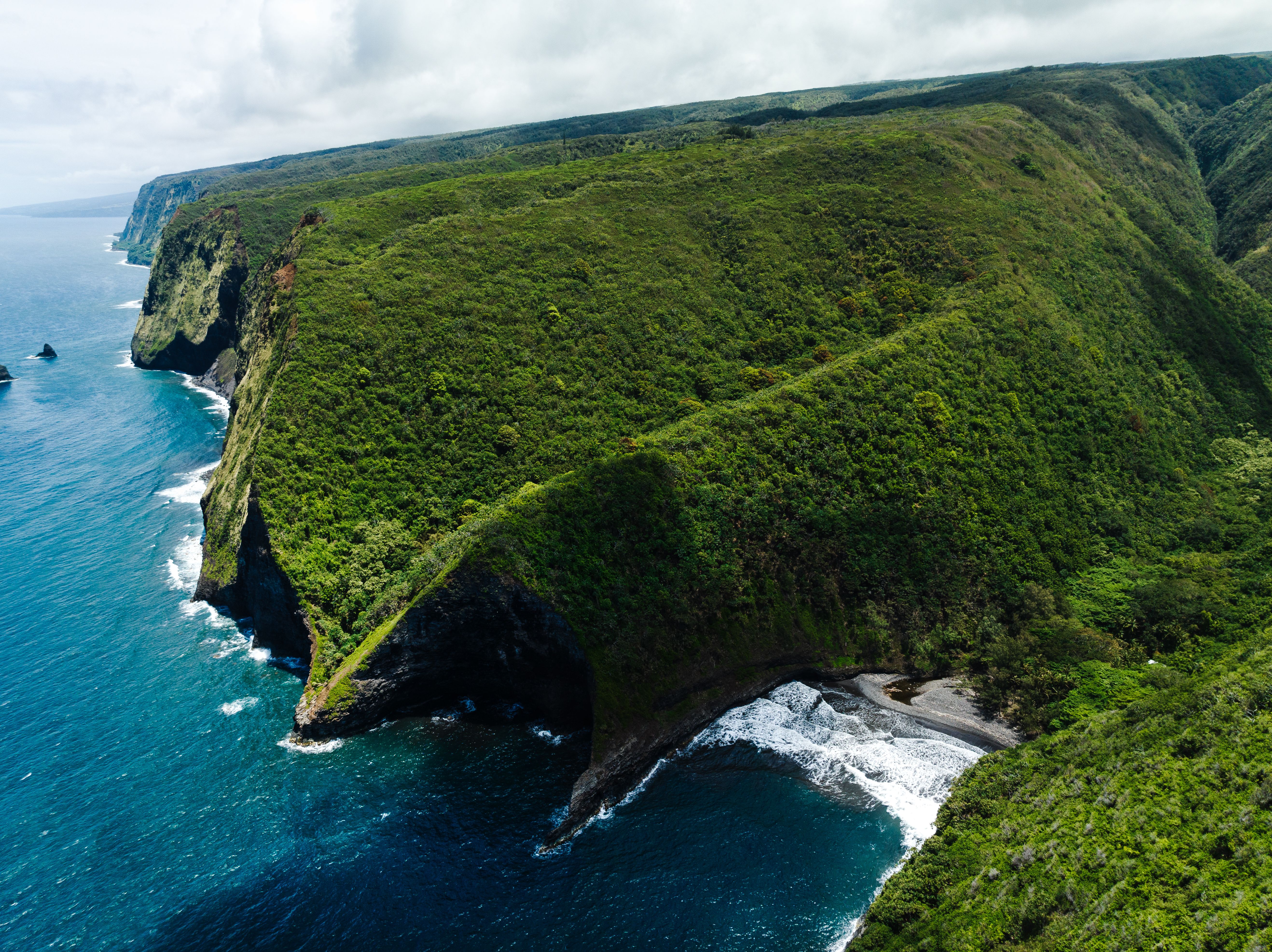 Luxury Picnic Volcanoes & Waterfalls: Private Helicopter Tour - A breathtaking aerial view of Halaula's lush green cliffs alongside the pristine blue ocean in Hawaii.