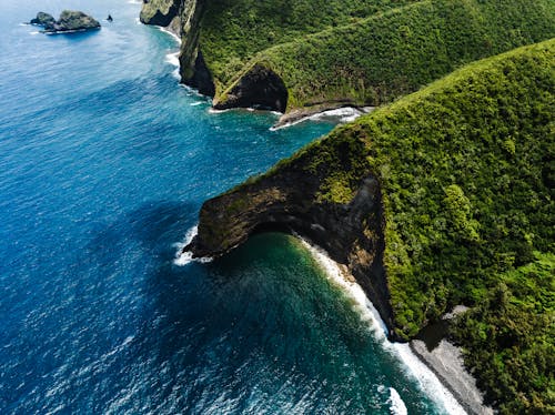 Imagine de stoc gratuită din arbori, coastă, coasta hamakua