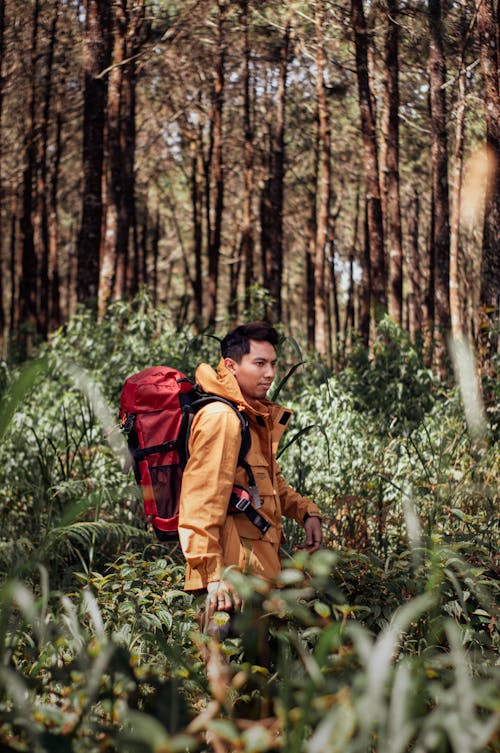 Backpacker in Forest