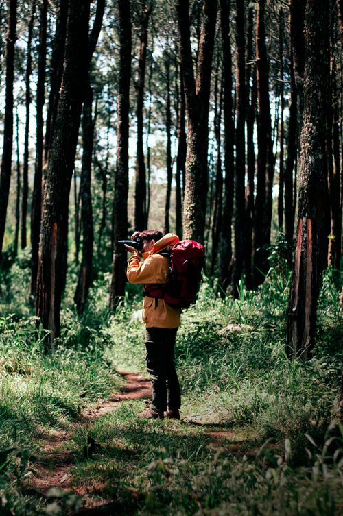 Free A man in a yellow jacket photographs nature along a wooded trail. Stock Photo