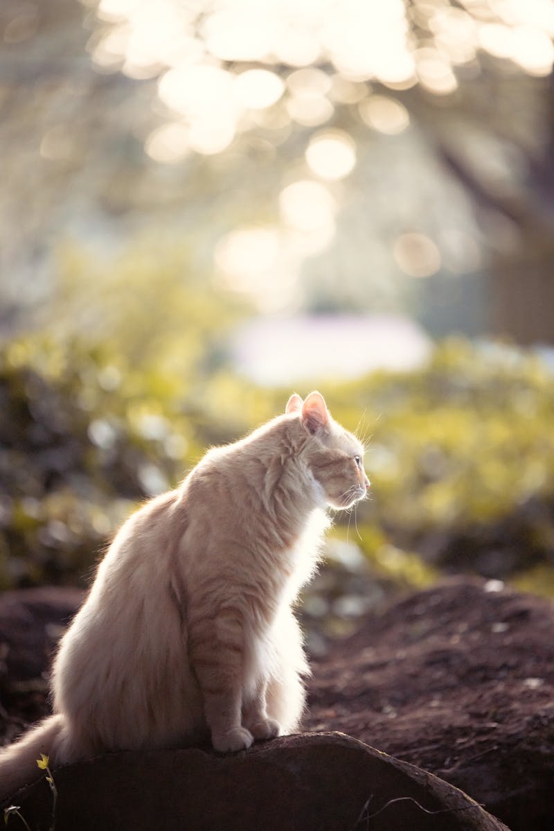 Technician repairing a refrigerator