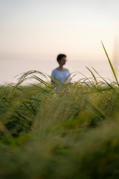 Woman Standing in a Field at Dusk