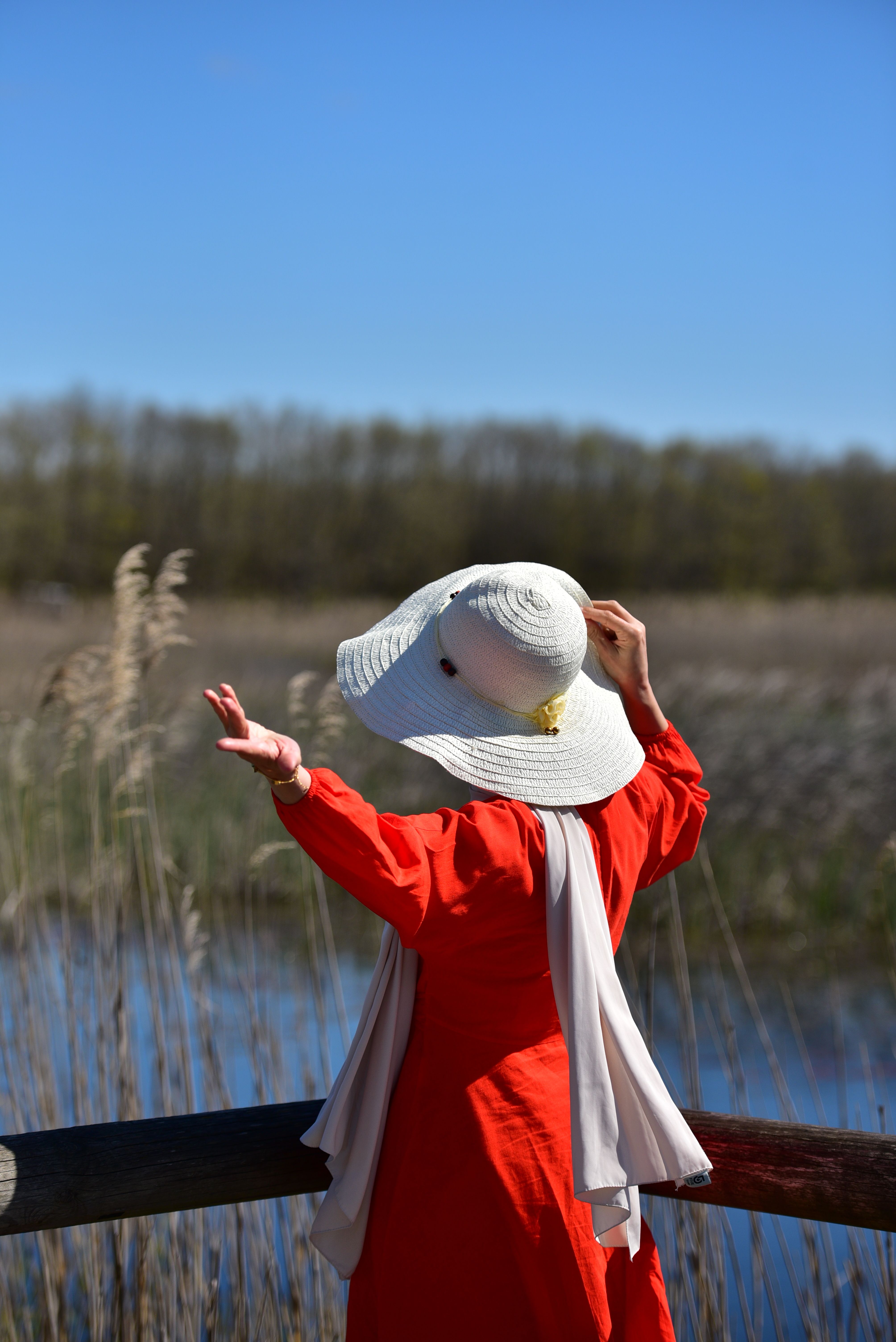 Back of a Woman Wearing a Sun Hat and a Red Dress Standing Outdoors ...