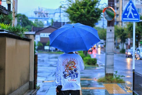 Free stock photo of after the rain, afternoon, crossroad