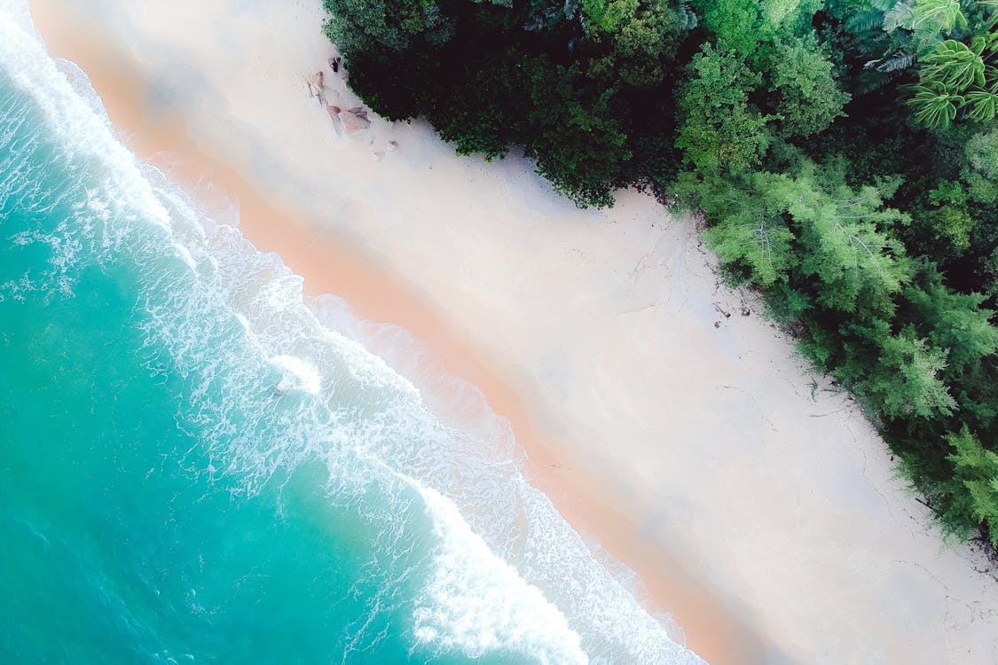 Free Aerial Photography Of Beach Stock Photo