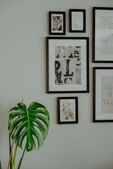 Wall art gallery with various framed artworks and a green monstera leaf plant adding a touch of nature.