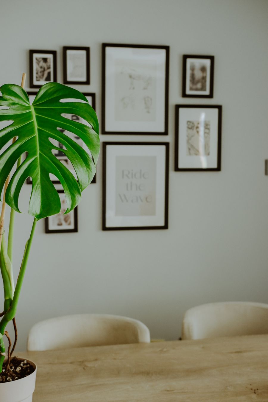 Dining corner with a monstera in a stone planter below a wall of framed prints — Beyzaa Yurtkuran on Pexels