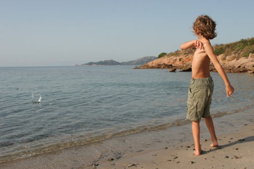 Foto stok gratis anak laki-laki, laut Mediterania, memantul