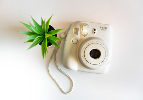 Free Instax Mini 8 camera paired with a green potted plant on a minimalist white surface. Stock Photo