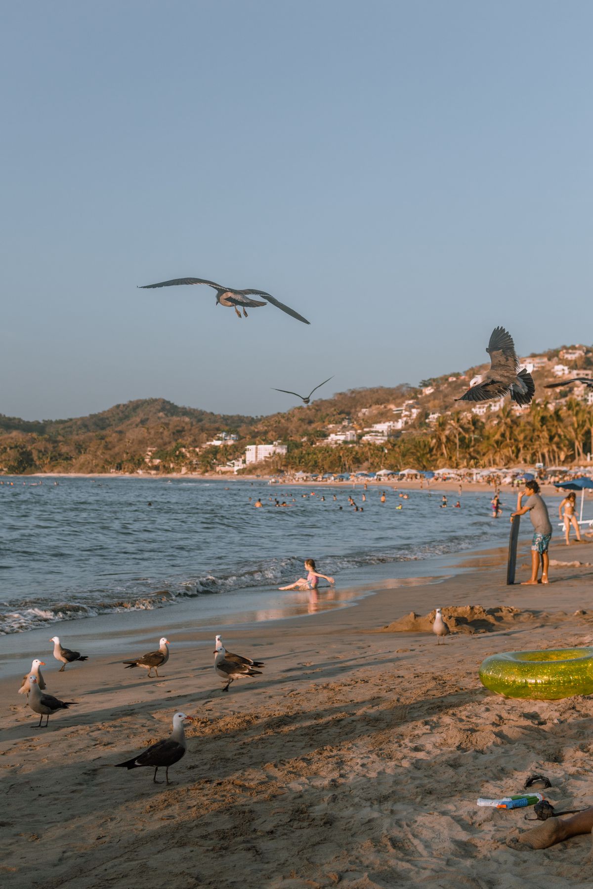 Seagulls hover above people enjoying a relaxing day at Sayulita Beach, Mexico, during sunset.
