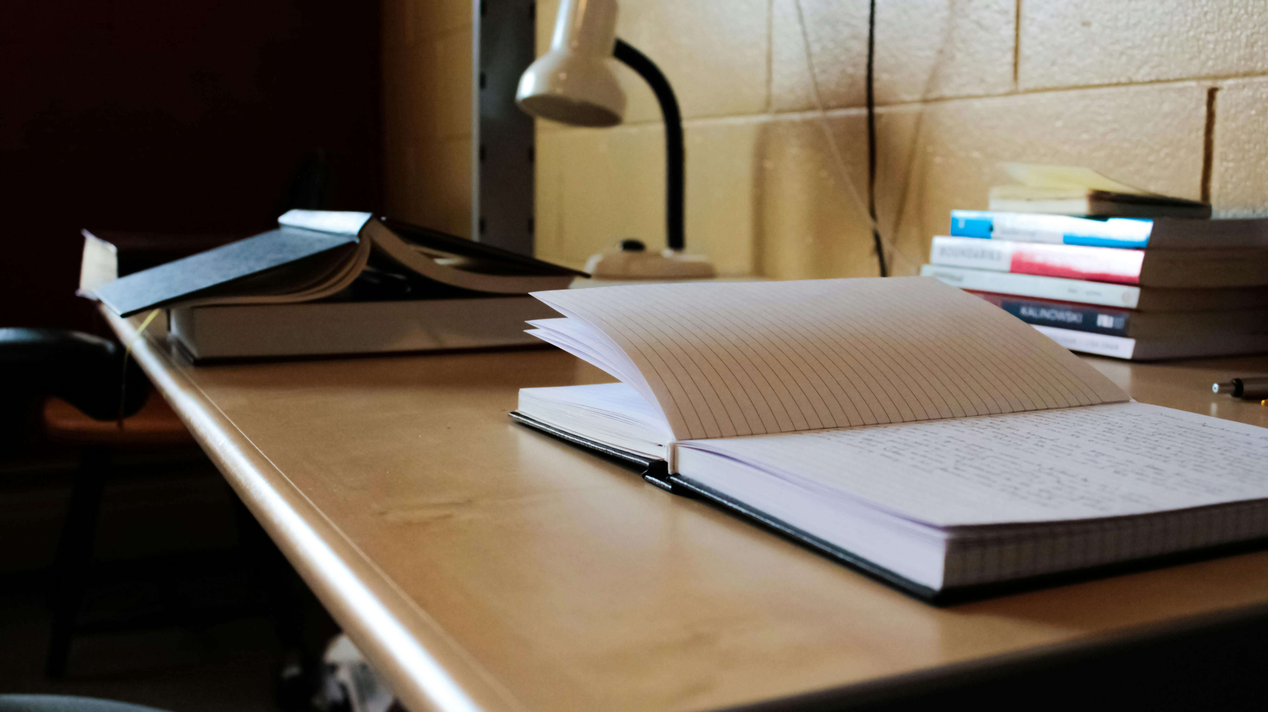 Custom homework on books