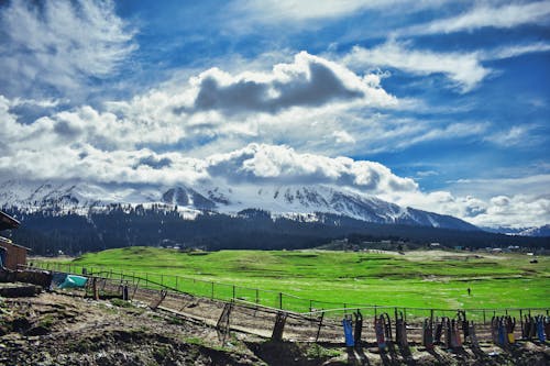 Landscape of a Grass Field and Snowcapped Mountains 