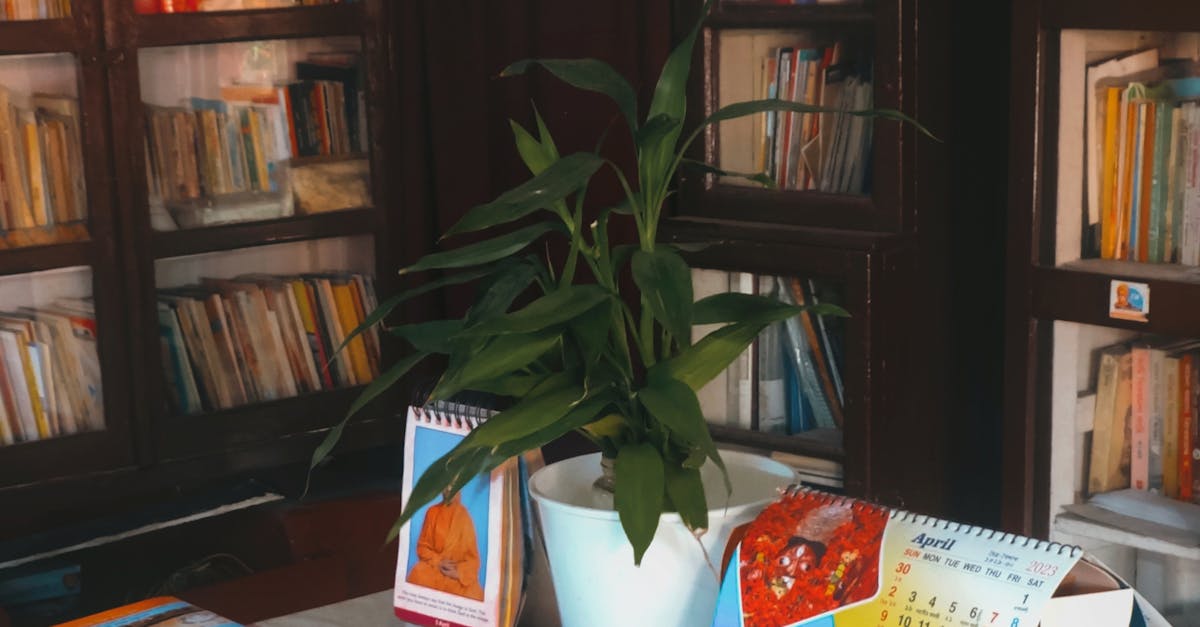 Khả năng chịu lực