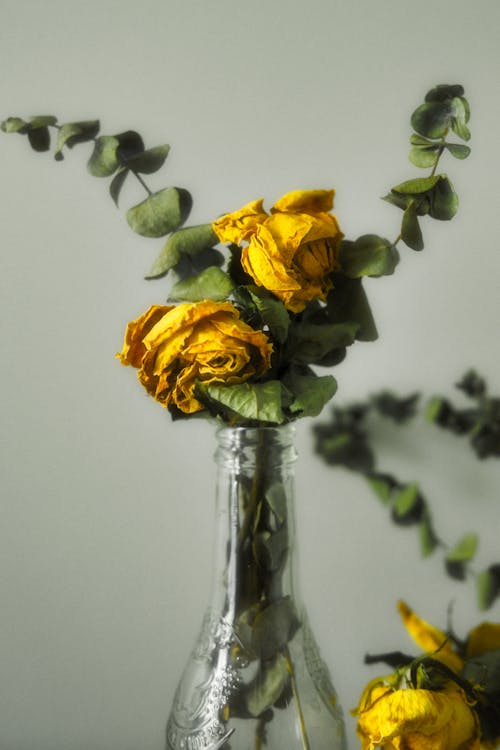 Yellow Roses in Bottle