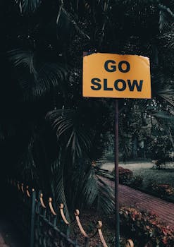 A 'Go Slow' caution sign along a shaded outdoor pathway in a lush park.