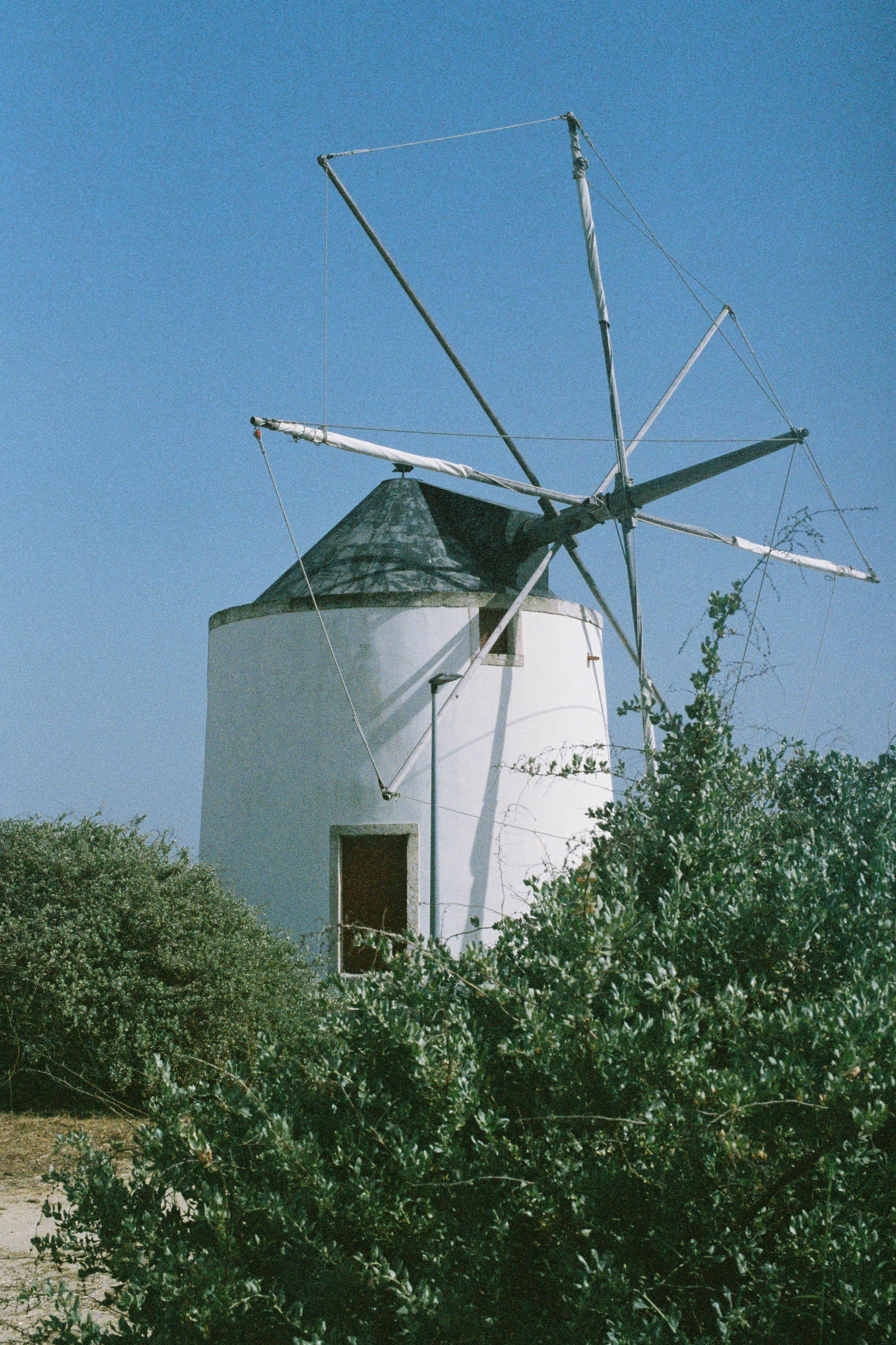 A classic white windmill amidst greenery under a clear blue sky in Lisbon, Portugal.