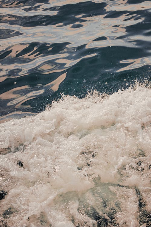 Photos gratuites de côte, eau, éclabousser