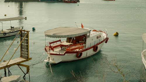 Immagine gratuita di barca a motore, mare, marina