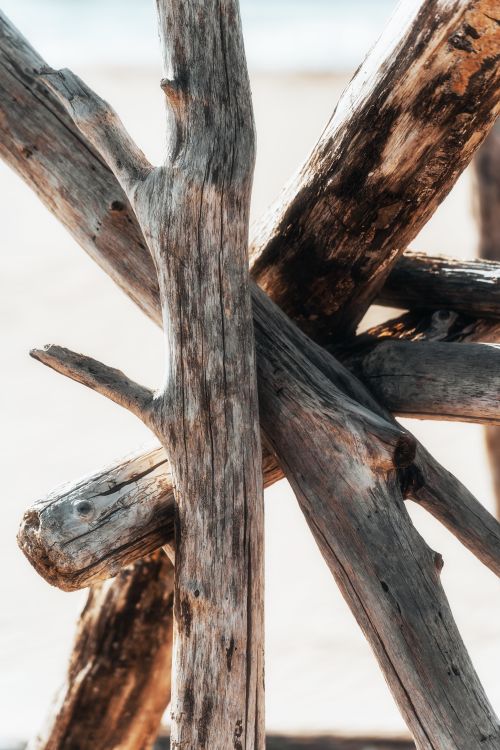 Free Close-up of weathered, intersecting wooden logs in a rustic outdoor setting. Stock Photo