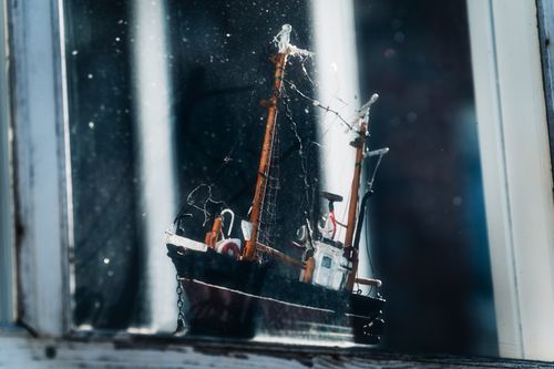 Free Shot on Sony a7C + Tamron 35-150mm f/2-2.8. Stock Photo