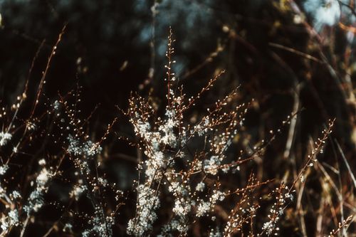 Free Shot on Sony a7C + Tamron 35-150mm f/2-2.8. Stock Photo