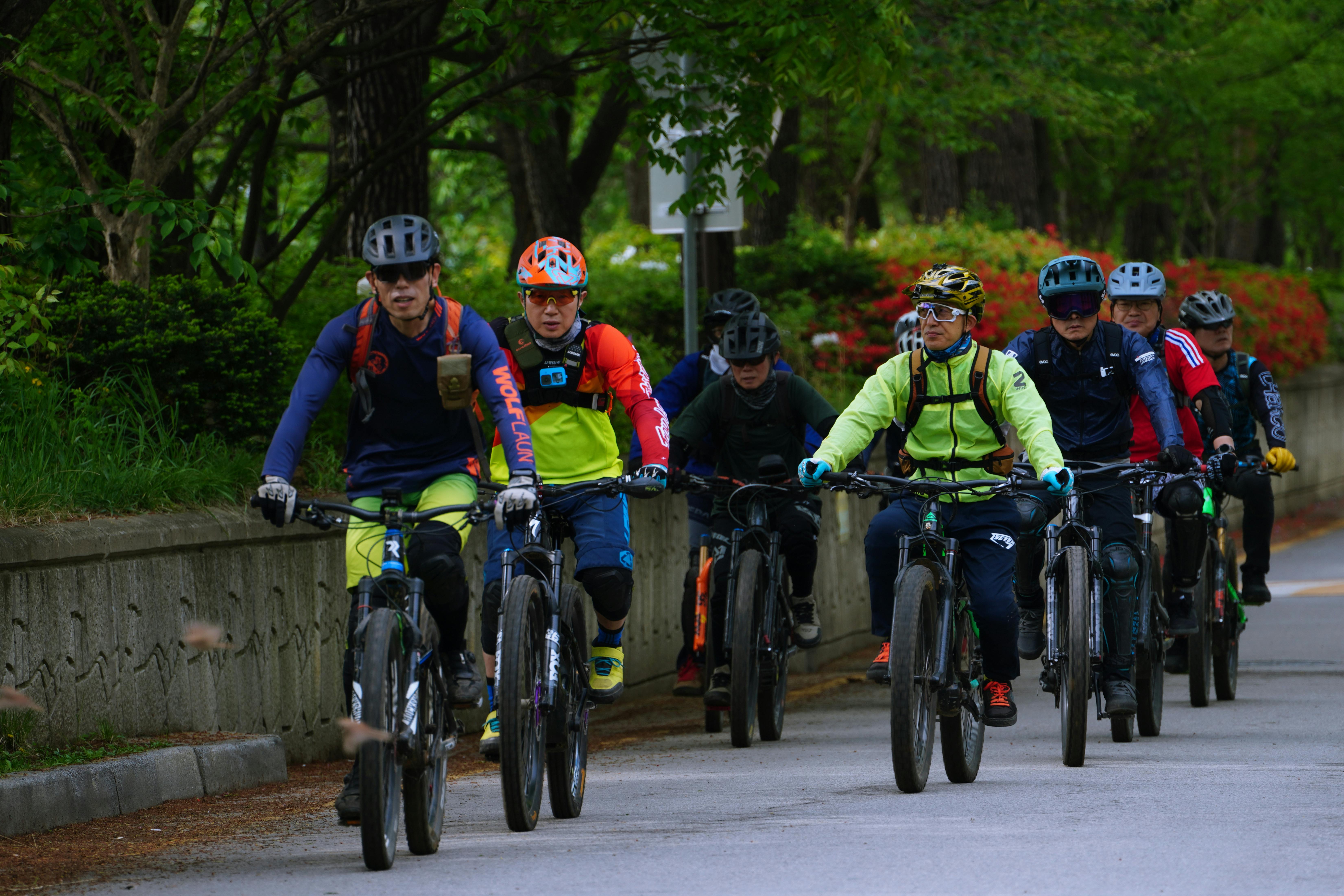 Free A group of cyclists enjoy a ride through a scenic park on a sunny day. Stock Photo