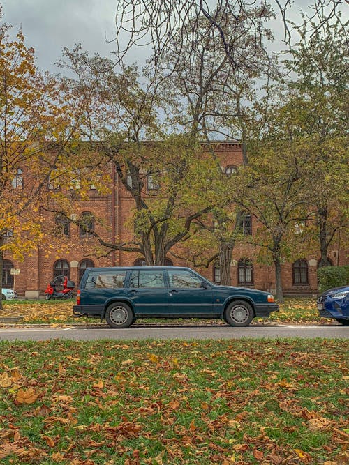 ağaç, araba, bina cephesi içeren Ücretsiz stok fotoğraf