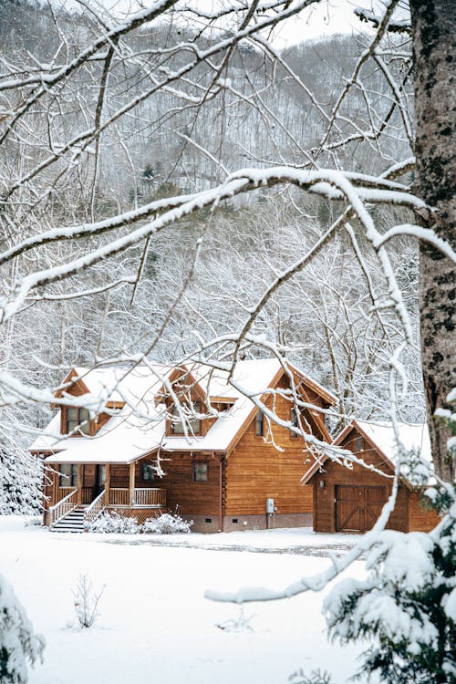 Trees and Wooden House in Winter