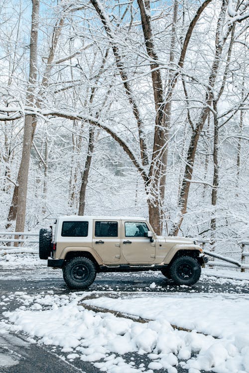 An Off Road Car between Snowy Trees in Winter 
