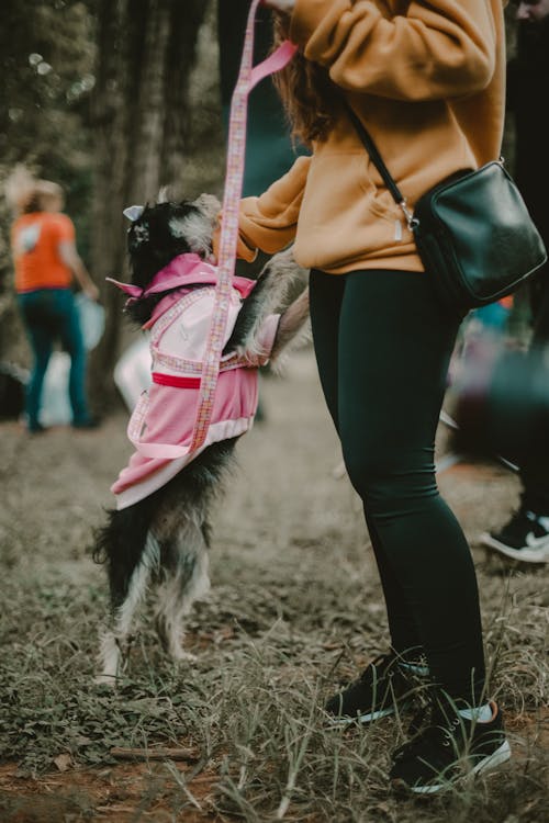 Woman Standing with Dog in Clothes