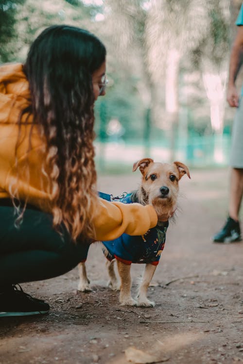 Woman Squatting and Patting Dog in Clothes