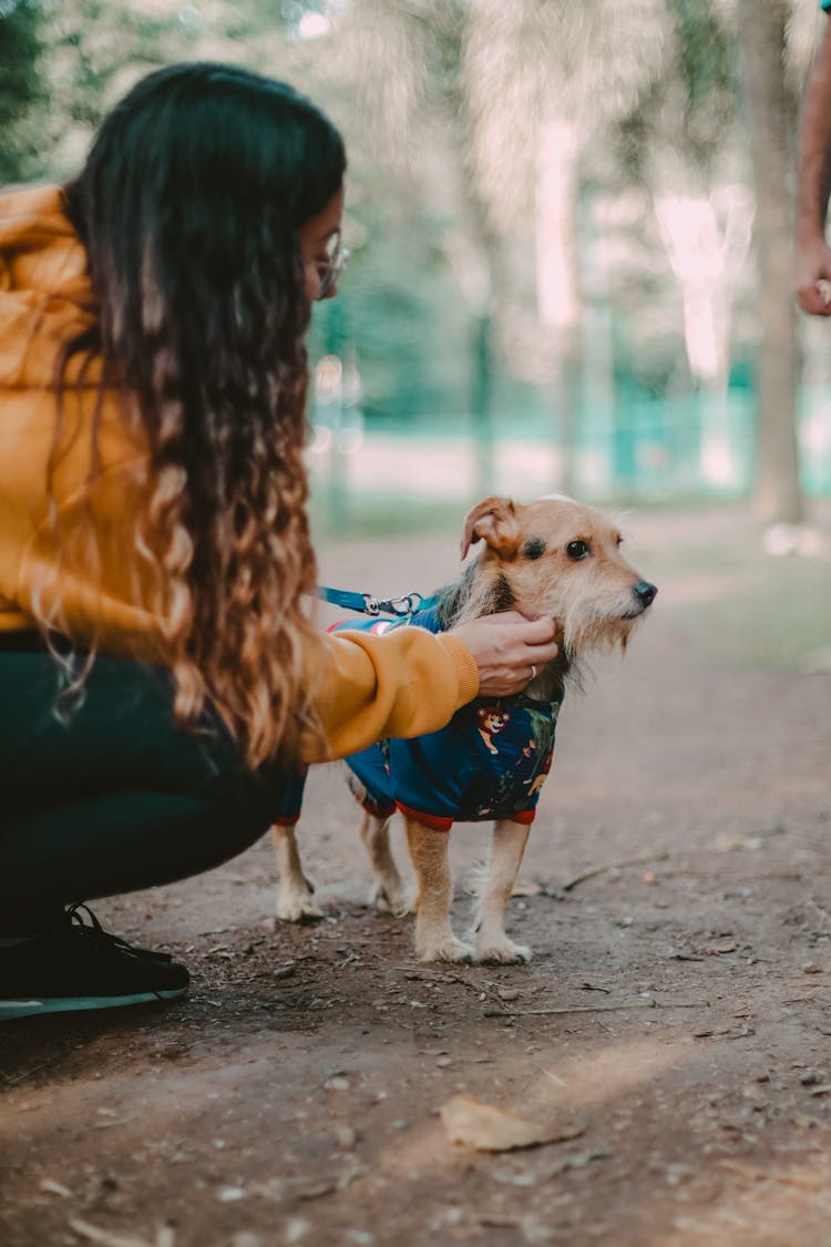 Woman Squatting With Dog In Clothes