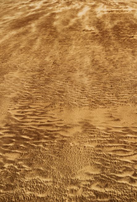 High-resolution capture of the fine sandy textures and patterns in a sunlit desert landscape.