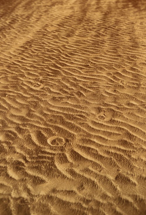 Sand Close Up