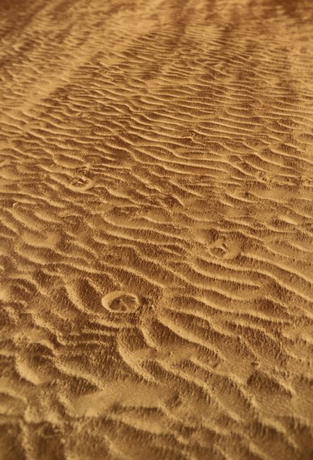 Detailed view of textured sand patterns in a desert landscape. Captured at daytime.