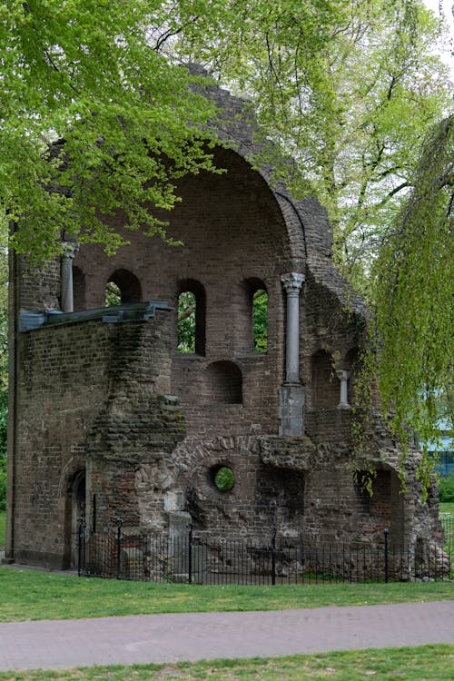 Foto d'estoc gratuïta de arbre, fulles verdes, nijmegen