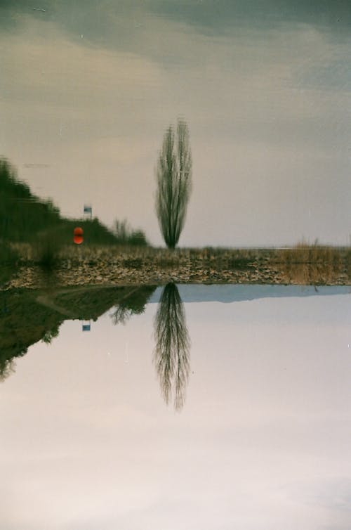 Kostnadsfri bild av natur, reflektion