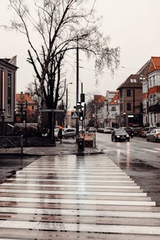 这座城市街景古色古香，潮湿的斑马线和经典的建筑点缀其间