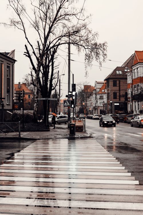 Free A quaint urban street scene with wet zebra crossing and classic architecture. Stock Photo