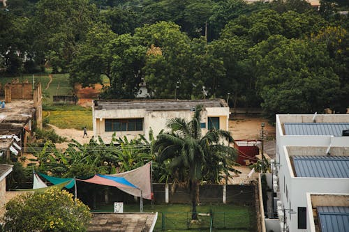 Foto d'estoc gratuïta de arbres, cases, edificis