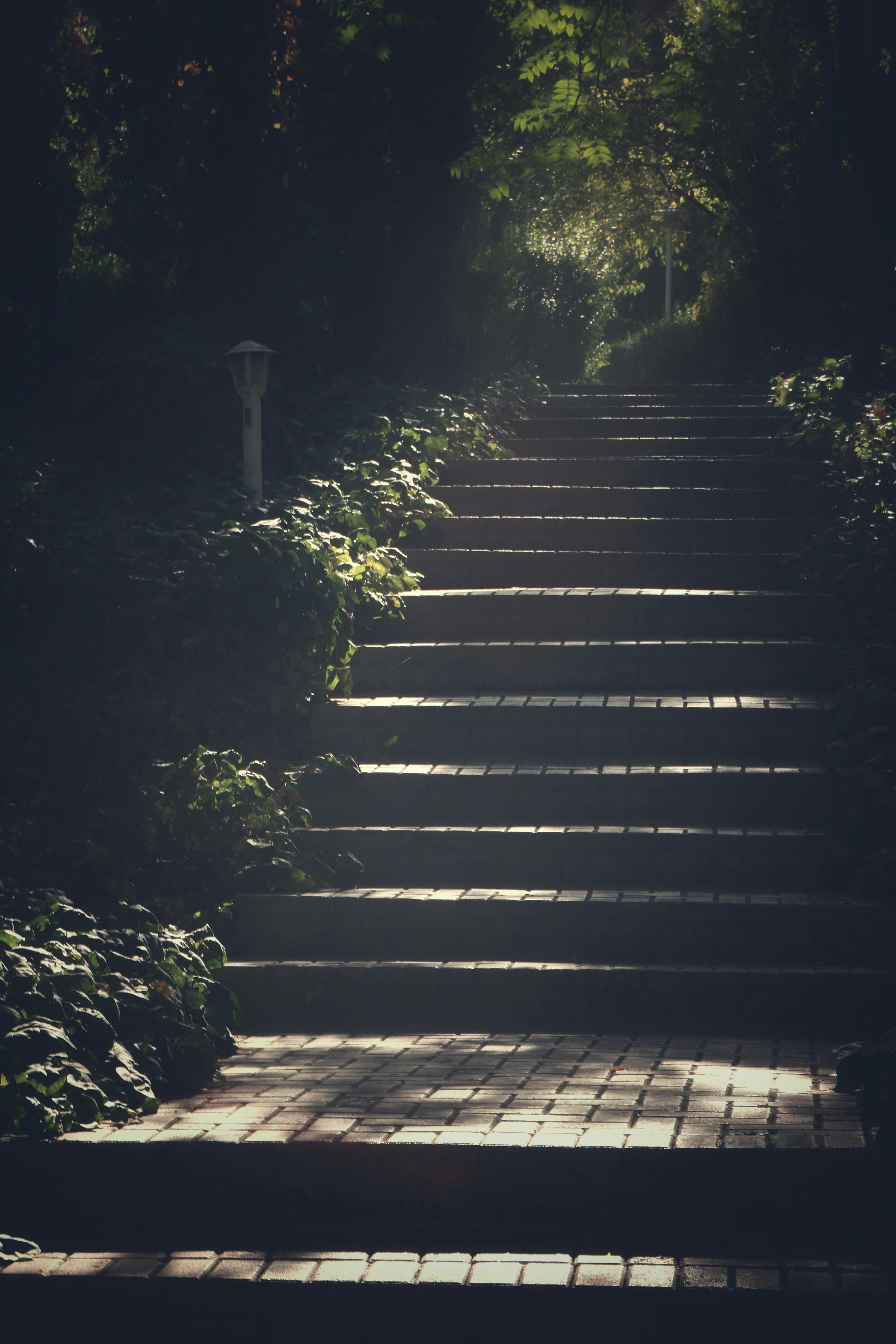 Stairs Photos, Download The BEST Free Stairs Stock Photos & HD Images