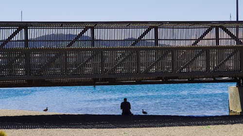 Free stock photo of beach, blue water, bridge