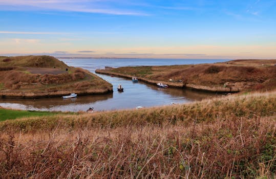 晴朗的天空下，河口景色宁静，船只停靠在绿草茵茵的岸边